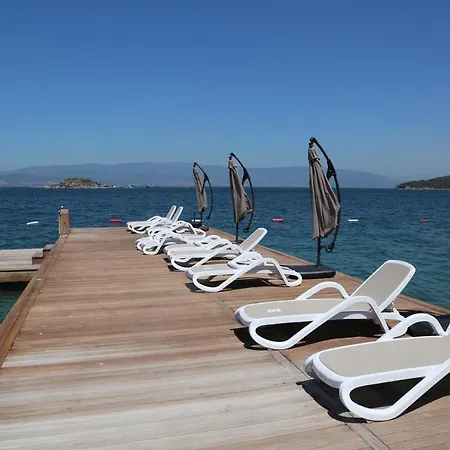Vila Bodrum Adabuku Luks 2 1 Ozel Plaj Ve Havuzlu