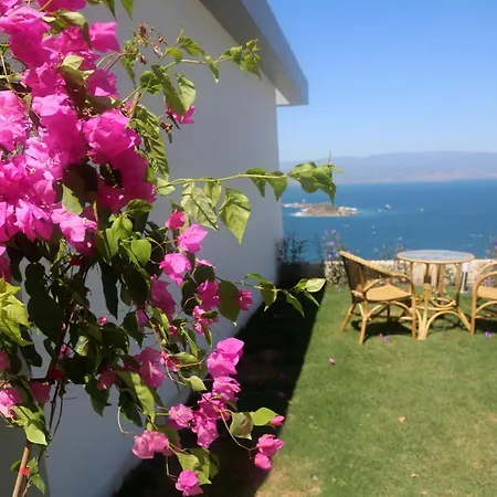 Villa Bodrum Adabuku Luks 2 1 Ozel Plaj Ve Havuzlu *